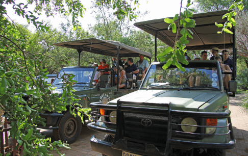 Shelanti Experiences Game Drives-5